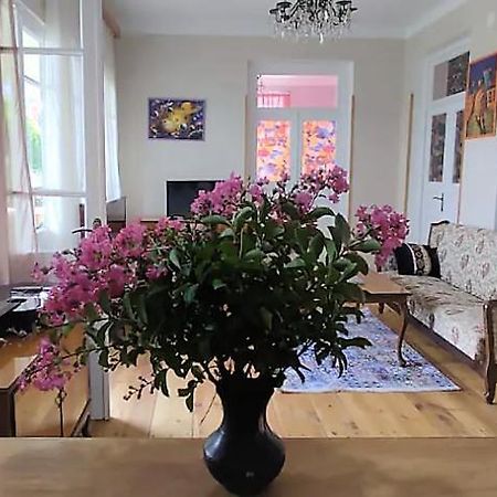 Tuta House Sighnaghi Hotell Eksteriør bilde
