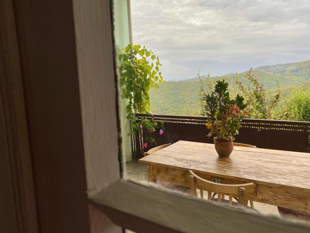 Tuta House Sighnaghi Hotell Eksteriør bilde
