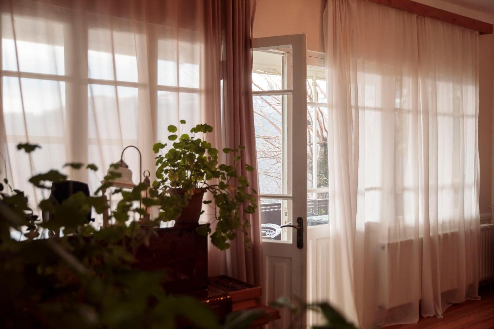 Tuta House Sighnaghi Hotell Eksteriør bilde